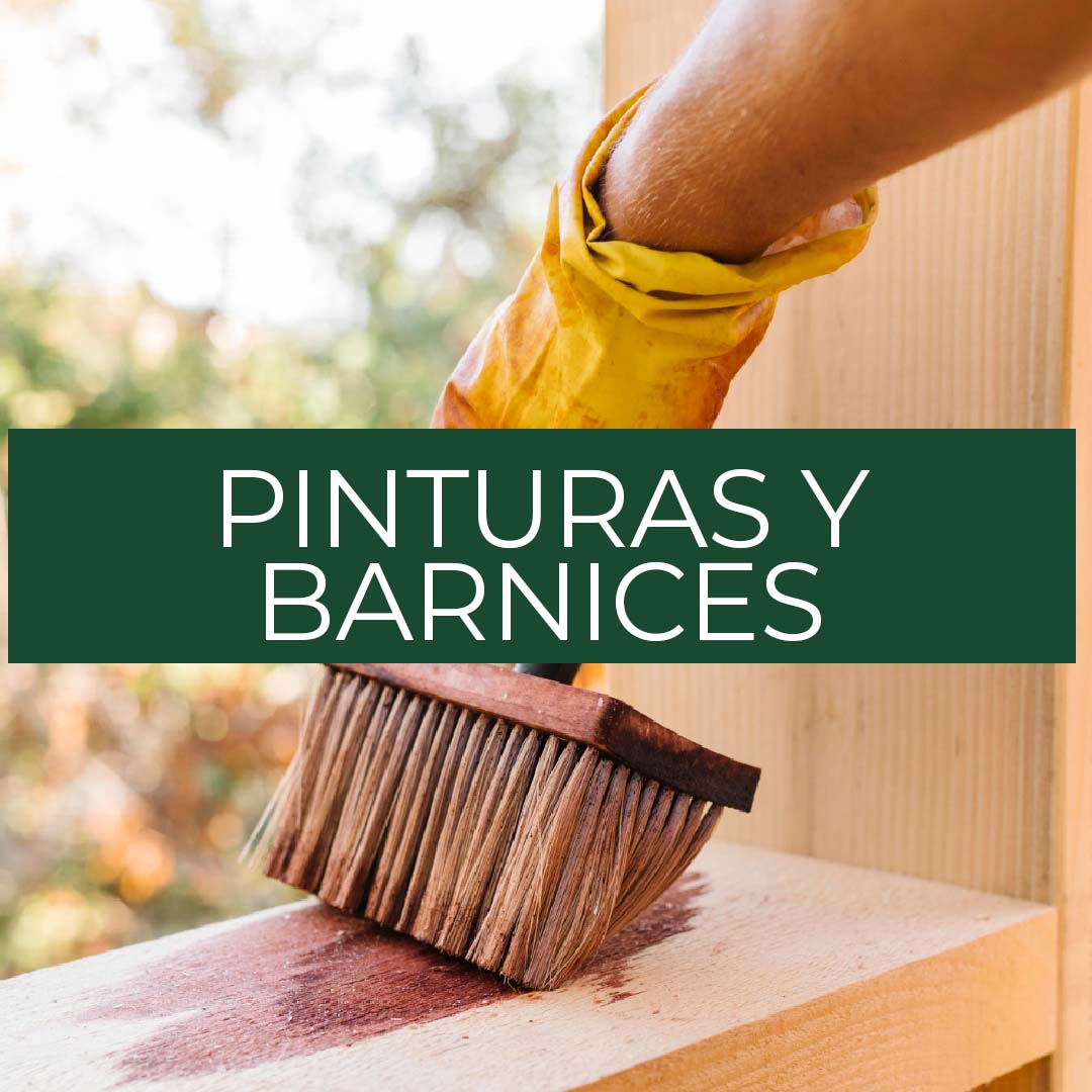 Pintura y Barnices